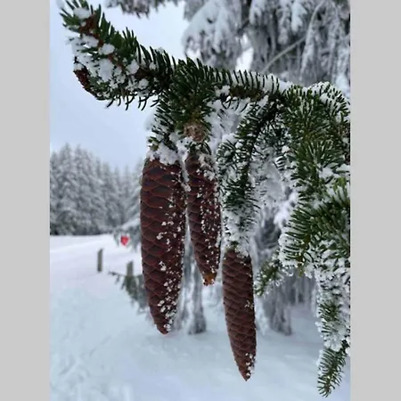 Appartamento Zeit Fuer Dich Am Bergelchen,