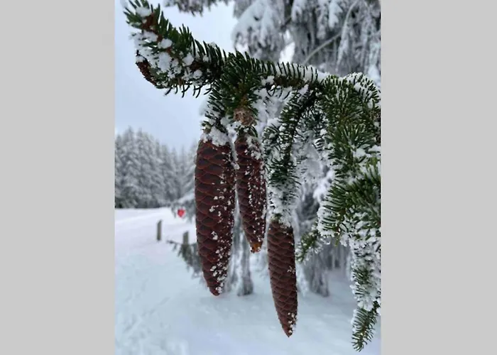 Apartment Zeit Für Dich Am Bergelchen,